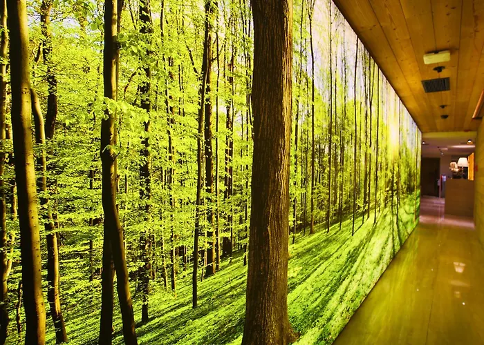 Dosso Dossi s&SPA DowntownAlbergo